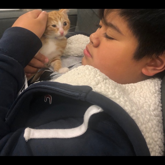 Meet your Posher, Ryan - Picture 1 of 1